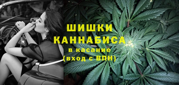 spice Балабаново