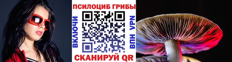 Псилоцибиновые грибы ЛСД  Снежногорск 