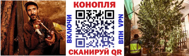 МАРИХУАНА ГИДРОПОН  где найти наркотики  Снежногорск 